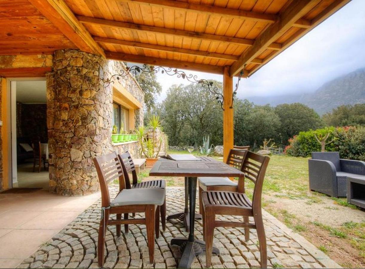 Studio Confortable Avec Vue Sur La Montagne A Moltifao 30M² Jardin Экстерьер фото